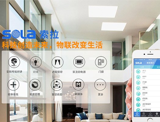 第十三屆全國人大指出“發(fā)展智能產(chǎn)業(yè)，拓展智能生活”